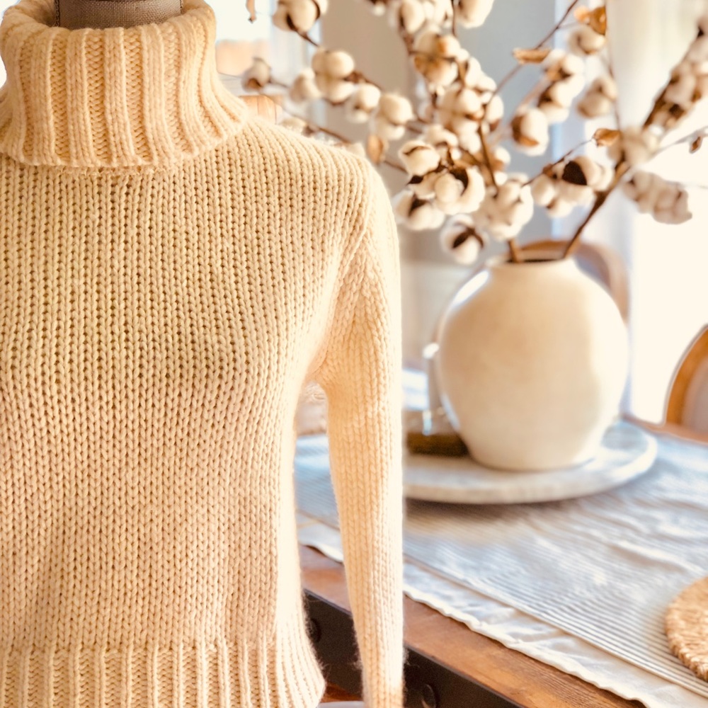 J Crew Chunky turtleneck sweater